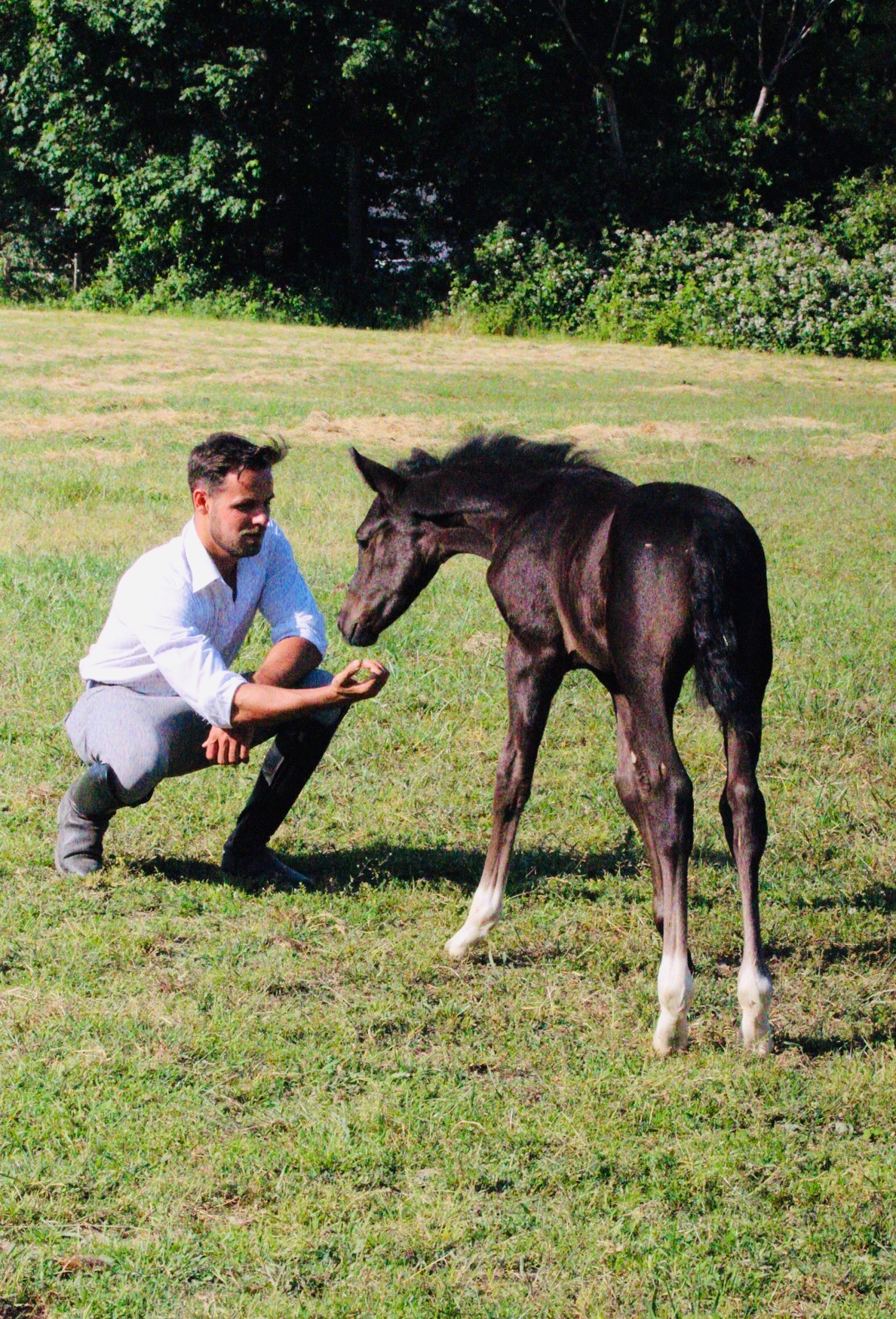 Aaron Janicki spending time with a young foal in the pasture