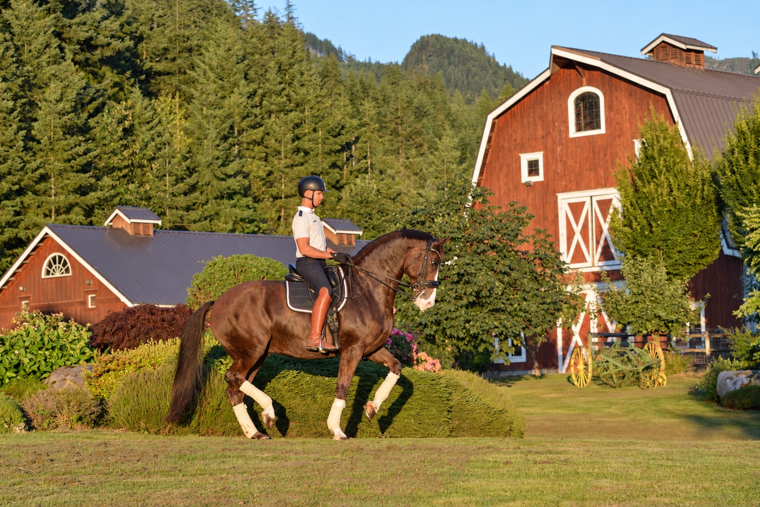 Aaron riding Heron in front of the red barns at Janicki Dressage, with wooded hills behind the facility