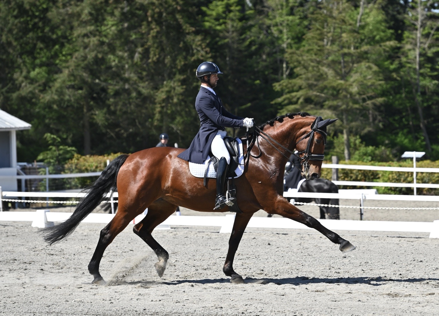 Aaron Janicki and Jinicole M in extended trot