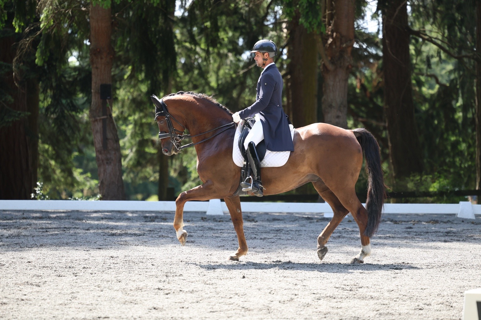 Aaron Janicki riding MSJ Madagascan Sonne in the dressage arena
