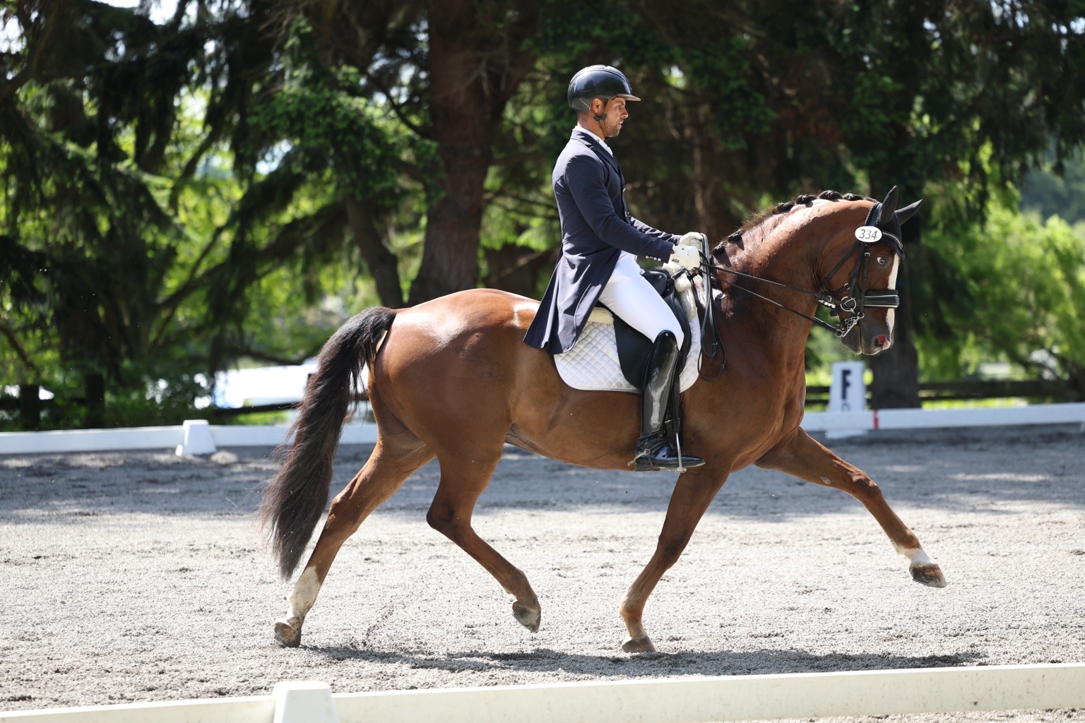 Aaron and MSJ Madagascan Sonne in competition, photo 2