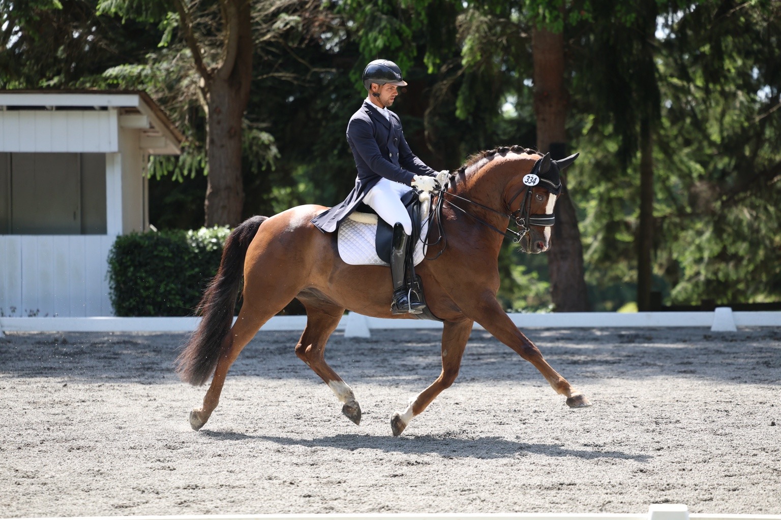 Aaron and MSJ Madagascan Sonne in competition, photo 3