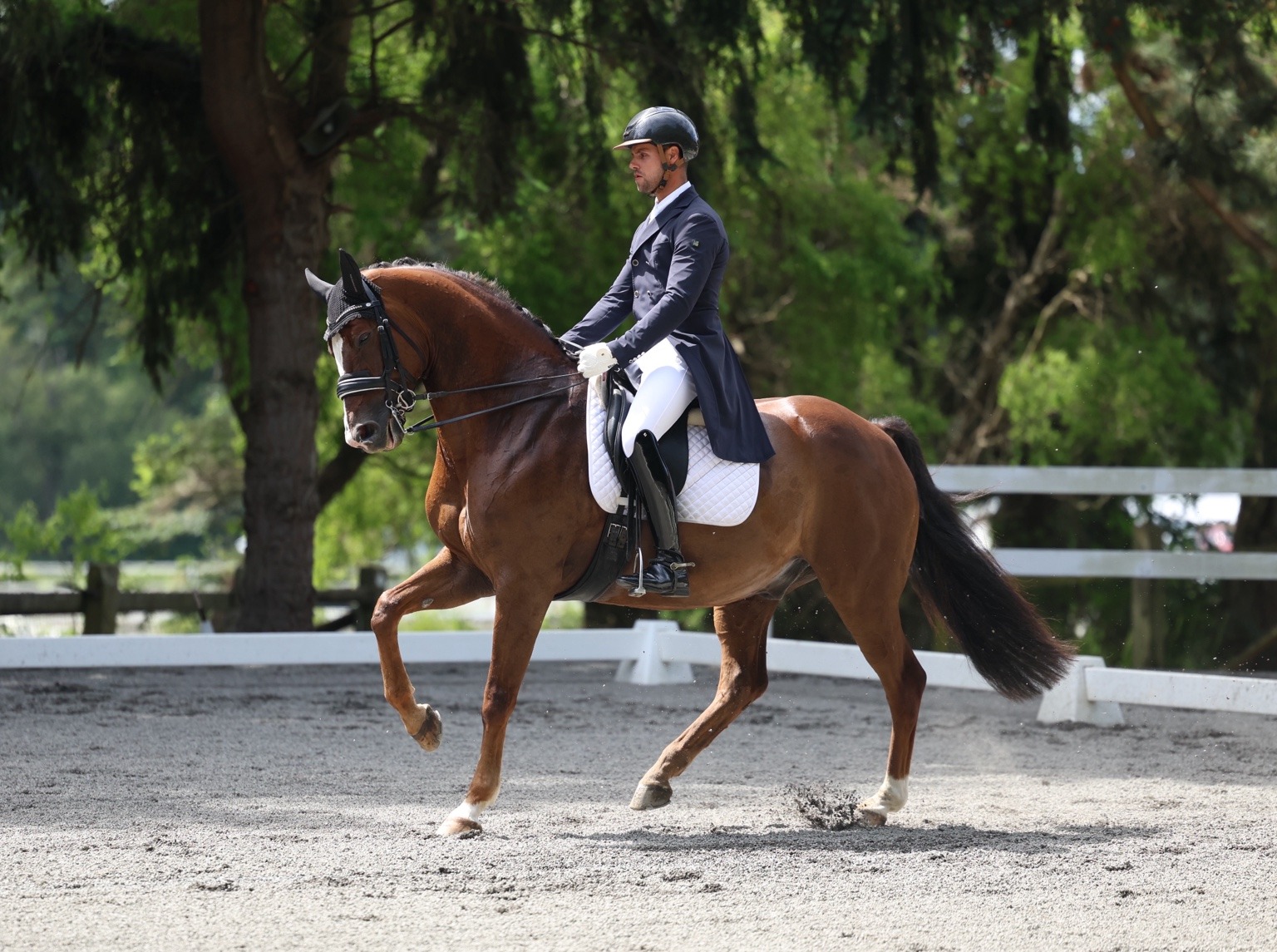 Aaron riding MSJ Madagascan Sonne