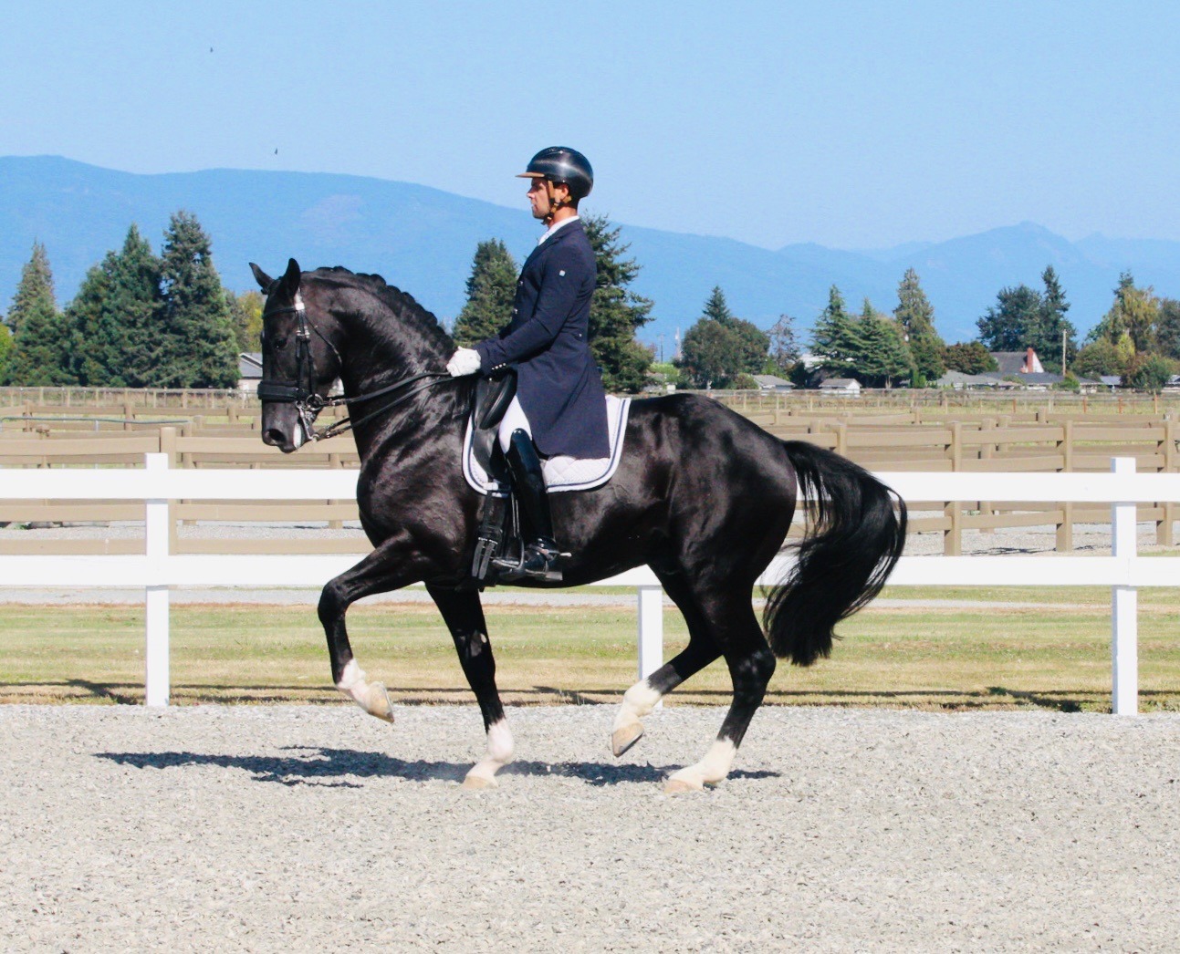 Aaron Janicki riding No Limit in the dressage arena