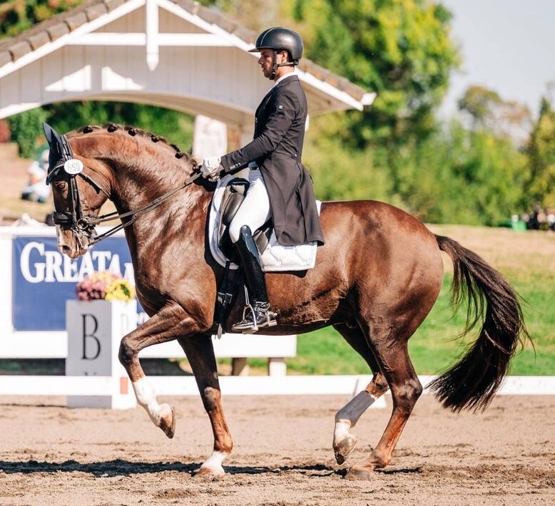 Aaron and a dressage horse performing piaffe in competition, mirrored to face the center