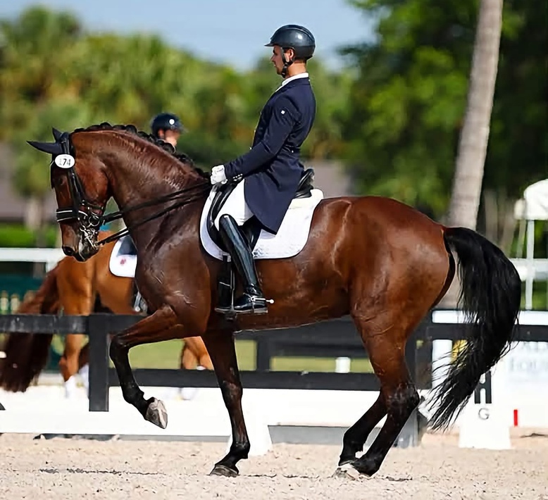 Aaron and a dressage horse performing piaffe in competition