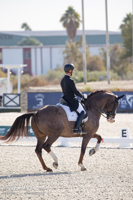 Dressage training with Aaron Janicki